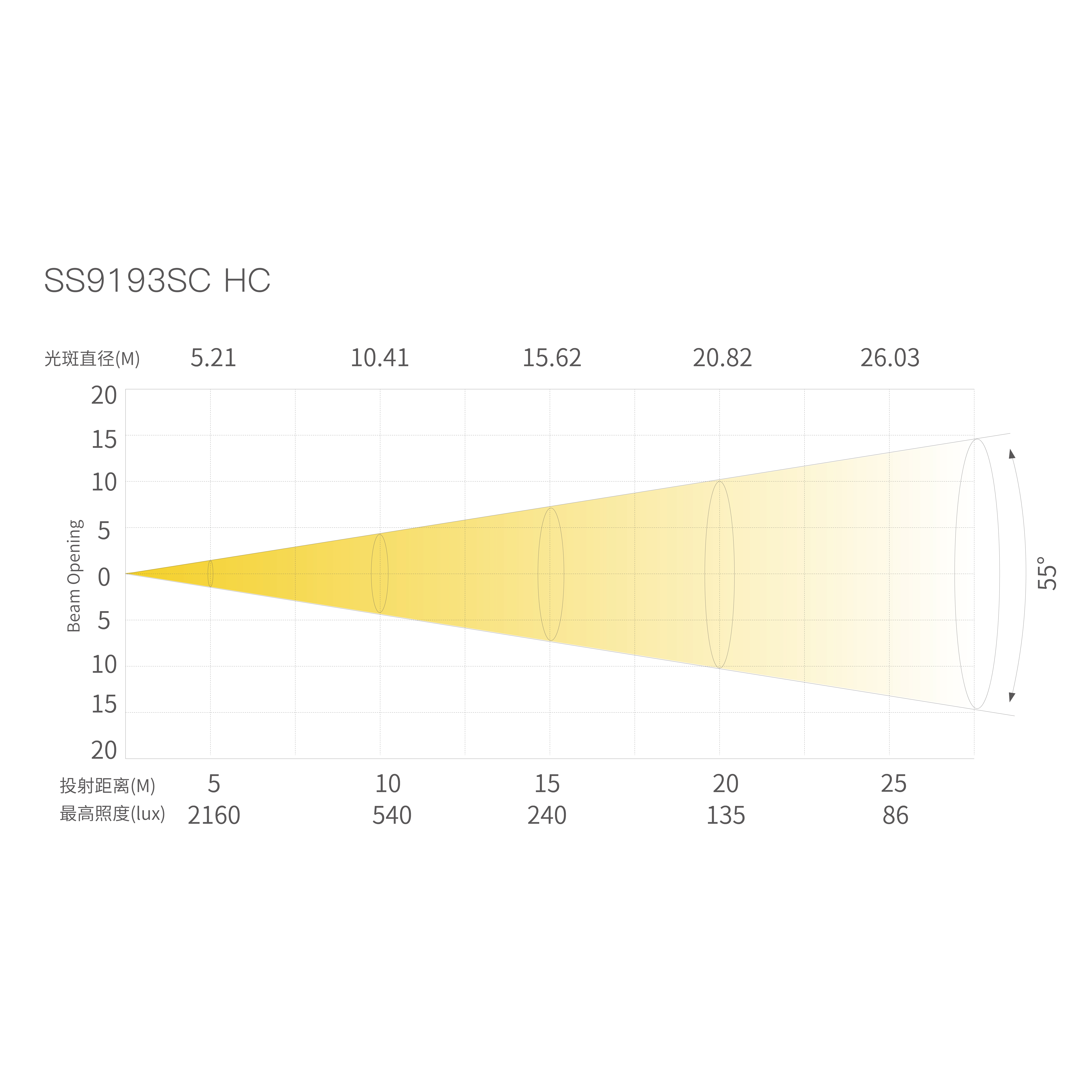 T16_画板 1 副本 9