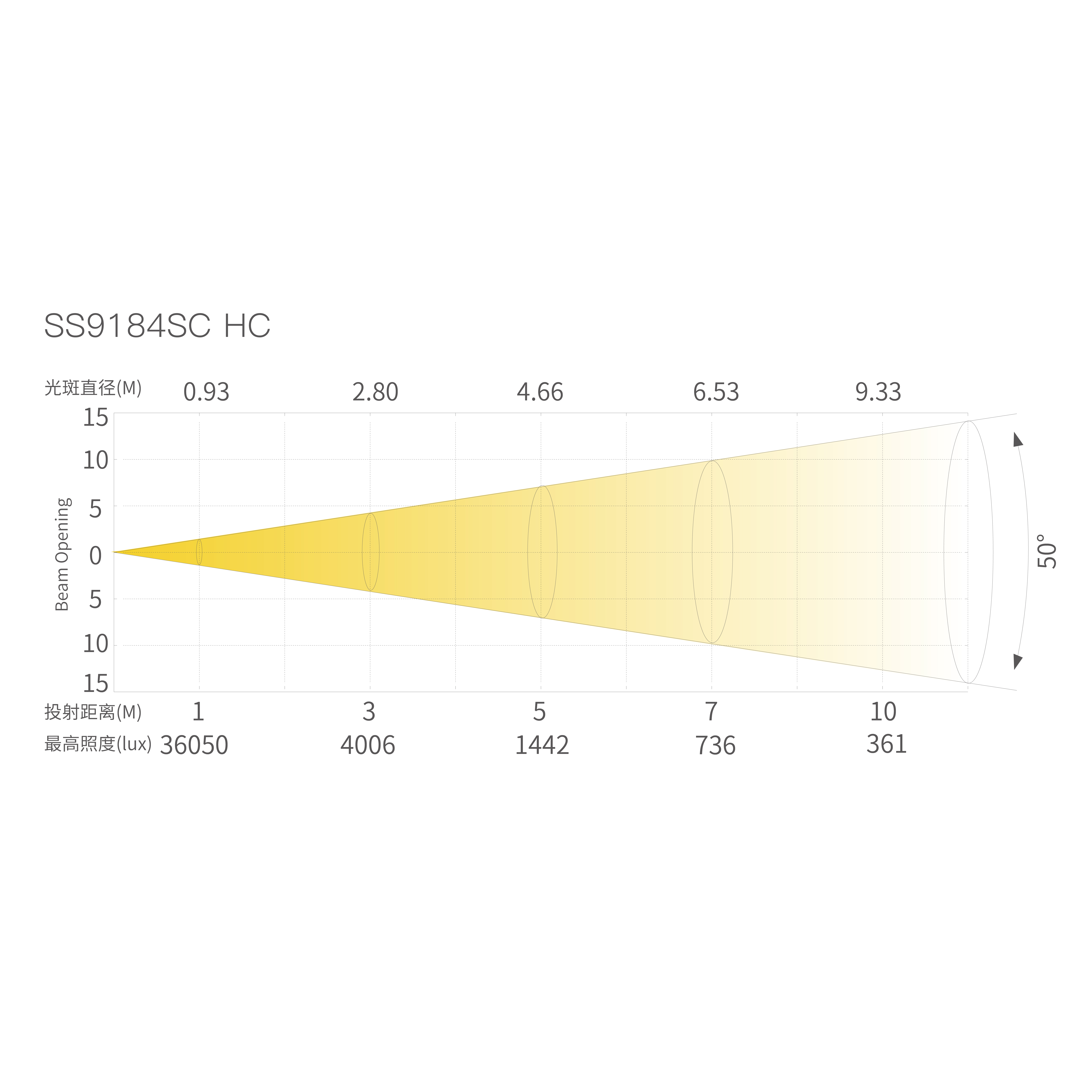 T10_画板 1 副本 9